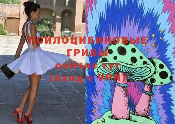 амф Баксан